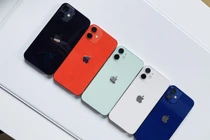 “Ngắm kỹ” iPhone 12 Pro Max và iPhone 12 Mini trước ngày lên kệ