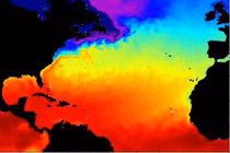 Năm 2020 có thể nóng nhất trong lịch sử