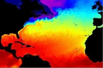 Năm 2020 có thể nóng nhất trong lịch sử