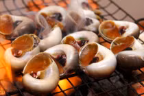 Điều ít người biết về ốc mỡ phổ biến ở nước ta 