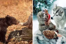 Động vật hoang dã thân thiết, làm nũng bên bé