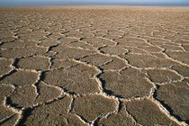 Vẻ đẹp tiềm ẩn của sa mạc muối lớn nhất thế giới 