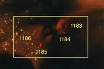 Phát hiện vật thể lạ trong tinh vân bóng tối LDN 673