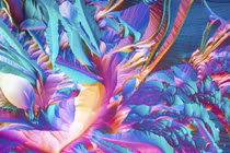 Não của sinh vật bất tử trông như thế nào dưới kính hiển vi?