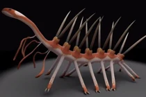 Top 15 động vật bí hiểm và quái đản nhất đại dương