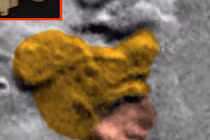 Xôn xao gương mặt binh sĩ thời chiến trên sao Hỏa