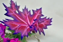 Tan chảy với những chú rồng nhí cực yêu 