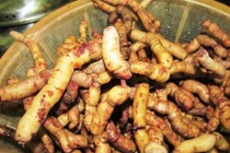 Bất ngờ với những khám phá khác về cây ba kích