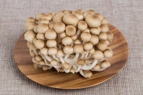 Khám phá kỳ thú về loài nấm có vị cua độc đáo