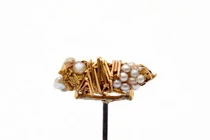 Loài sâu kỳ lạ dùng vàng và ngọc trai làm kén