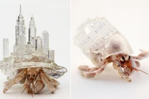 Những tòa lâu đài độc dị dành riêng cho cua ẩn sĩ