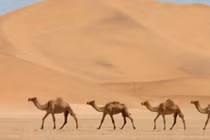 Những khám phá gây sốc về sa mạc ít ai biết