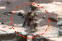 Xôn xao tìm thấy người ngoài hành tinh trên sao Hỏa