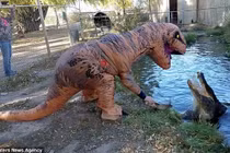 Hết chuyện làm, hóa trang thành khủng long để trêu ghẹo cá sấu