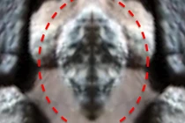 Phát hiện hình đầu bò sát khổng lồ trên sao Hỏa