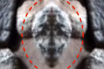 Phát hiện hình đầu bò sát khổng lồ trên sao Hỏa