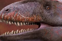 Top phát hiện phi thường nhất về khủng long, cả thế giới đều sững sờ 