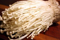 Rùng mình những khám phá về nấm kim châm