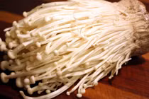 Rùng mình những khám phá về nấm kim châm