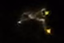 Sửng sốt vật thể nghi UFO hình chó khổng lồ trong vũ trụ