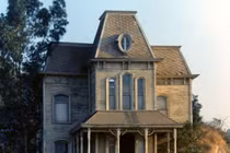 Lý giải hiện tượng “chết đi, sống lại” dưới góc nhìn khoa học