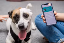 Chứng minh thư điện tử dành cho thú cưng đầu tiên tại Việt Nam