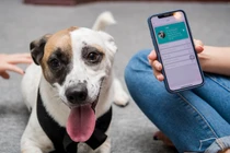 Chứng minh thư điện tử dành cho thú cưng đầu tiên tại Việt Nam