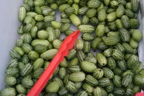 Top rau củ kỳ quặc nhất bạn từng thấy