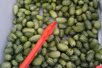 Top rau củ kỳ quặc nhất bạn từng thấy