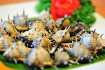 Khám phá loài ốc có gai tua tủa, nổi tiếng Phú Quốc