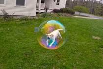 Những bức ảnh cực hài nhờ vào khoảnh khắc chụp hoàn hảo (1)