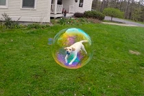 Những bức ảnh cực hài nhờ vào khoảnh khắc chụp hoàn hảo (1)