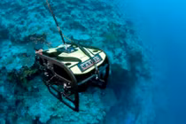 NASA và sứ mệnh khám phá thế giới san hô đại dương