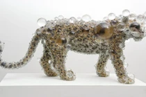 Ngắm động vật hoang dã khoác "hình hài thuỷ tinh" sáng giá 