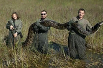 Những cuộc phá hoại kinh khiếp của động vật 