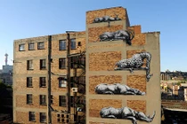 Zoom tranh đường phố ấn tượng về biến đổi khí hậu