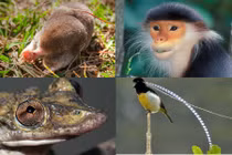 Sửng sốt những loài động vật có khả năng kỳ diệu nhất