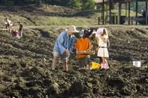 Công viên duy nhất trên thế giới cho phép du khách đào và nhặt kim cương