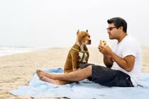 Kỳ nghỉ hạnh phúc cuối cùng của chú chó xấu số