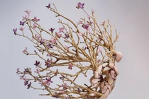 Những tác phẩm điêu khắc mang cảm hứng thiên nhiên có 1-0-2