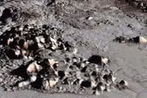 Kỳ bí loạt ngọn núi mới trên Sao Diêm vương được xác định