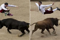 Nín thở xem những pha vọt cao đấu bò tót