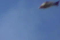 Bí ẩn vật thể lạ hình cá khổng lồ chao lượn bầu trời