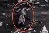 Tượng lạ hình khủng long trên sao Hỏa gây xôn xao