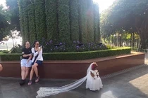 Cười đau ruột cảnh "cô" chó diện váy cưới thả dáng trên phố