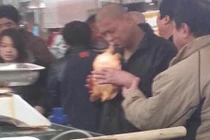 Gã say cố ăn rùa sống bị rùa... cắn môi 10 phút