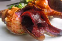 Điều đặc biệt ở ốc đỏ, nổi tiếng vùng biển phía Nam