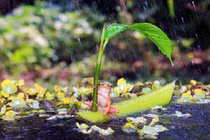 Những bức ảnh tuyệt mỹ và độc đáo về động vật 