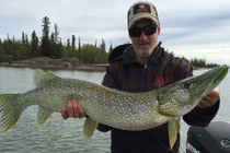 Sửng sốt khi bắt được cá chó màu xanh phát quang 