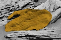 Tìm thấy găng tay khổng lồ trên sao Hỏa?